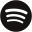 Spotify official website icon